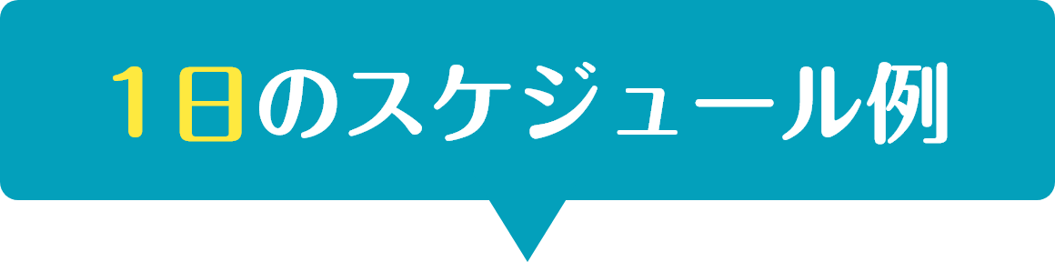 1日のスケジュール例