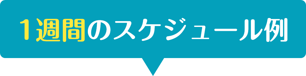 1週間のスケジュール